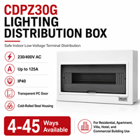 Boîtier de distribution d'éclairage CDPZ30G IP40 230/400V 125A, panneau électrique en acier à montage encastré ou en saillie, 4 à 45 voies