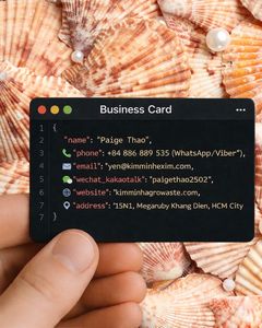 Conchas de Vieira a Granel KMI 9–12 cm Proveedor de Vietnam para Manualidades, Decoración y Uso DIY - Product Image 6