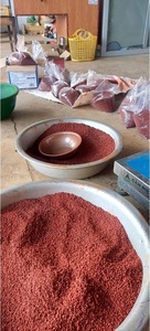 Graines d'annatto en vrac (Bixa <span class=keywords><strong>Orellana</strong></span>) pour la transformation culinaire, la coloration alimentaire et l'utilisation comme ingrédient d'assaisonnement - Product Image 3