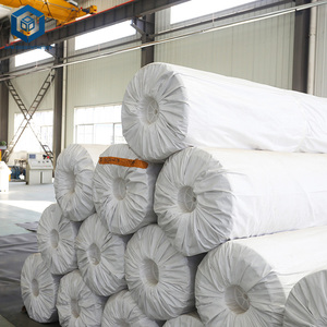 Revestimiento de HDPE de Calidad Superior para Control de Infiltraciones, <span class=keywords><strong>Precio</strong></span> por <span class=keywords><strong>M2</strong></span>, Geomembrana para Aplicaciones de Ingeniería a Gran Escala - Product Image 6
