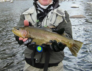 Guantes de Pesca Premium, Duraderos, Impermeables, con Agarre Cómodo para Pesca al Aire Libre, Proveedor y Fabricante - Product Image 5