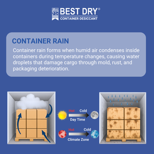 Best Adsorbent Dry Container Desiccant 1kg Superior Moisture Control Mold Prevention for Leather Electronics <b>Textile</b> Industries - Product Image 5