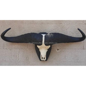 Cráneo de Búfalo Natural Tallado a Mano con Ágata para Decoración del Hogar, Estilo Náutico - Product Image 1