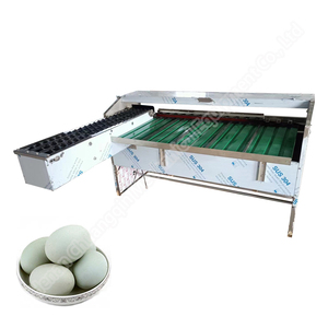Egg Sorting Grading Grader Machine Egg Grader Machine Automatic Egg Candler and Grading Machine - Product Image 5