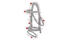 Brida Anatómica de Cuero JOYA Premium de Uttar Pradesh, Proveedores Mundiales - Product Image 6