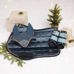 Horse <b>Saddle</b> Pad Set Quilted Pad with Glitter Boots and Ear <b>Cover</b> for Riding GUJJAR INTERNATIONAL - Product Image 3
