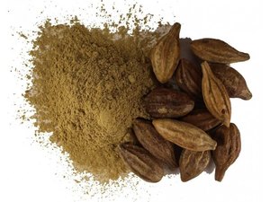 Poudre d'herbes Terminalia Chebula Haritaki pour le bien-être ayurvédique traditionnel, soins naturels à base de plantes et soutien quotidien à la santé - Product Image 4