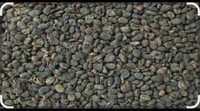 Graines de Psoralea Corylifolia Sauvage de Qualité Alimentaire, Extrait Naturel d'Herbes pour Usage Herbal