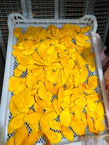 Mangues séchées en gros en vrac, en dés, ingrédients pour pâtisseries et mélanges de fruits secs, fournisseur Vietnamien - Product Image 5