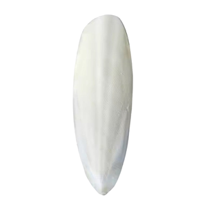BLUE LOTUS Os de Seiche Pur et Durable, Soin Naturel de la Becquetée, Aliment Riche en Calcium pour Oiseaux et Reptiles 1,0 kg - Product Image 1