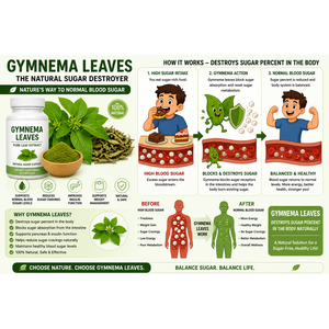 Polvo de Gurmar de Alta Calidad Ampliamente Utilizado en la Industria Herbal para la Extracción de Fabricantes, Proveniente de Hojas de Calidad - Product Image 3
