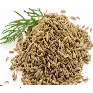 Graines de fenouil séchées en vrac, épices à saveur naturelle pour la cuisson de tisanes et d'assaisonnement, fournisseur de graines de fenouil entier en gros - Product Image 4