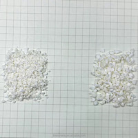 Gedroogde Kokosnoot 5mm Stukjes 0% Suiker 5A Kwaliteit Groothandelsverpakking Lekkere Papegaaienvoer Fruit Thee Ingrediënt/Snack/Bakkerijproduct