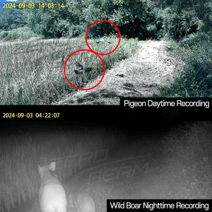 Cámara de Vigilancia Inalámbrica Zero Beam T2 4G LTE, CMOS IP65 Resistente al Agua, Visión Nocturna, Detección de Movimiento, Audio Bidireccional, Batería 18650, 6 - Product Image 2