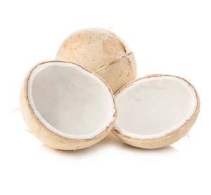 EXPORT STANDARD PREMIUM ENTIER FRAIS PÉLÉ JEUNE NOIX DE COCO 750g 800g Boisson tropicale naturelle saine de qualité vietnamienne - Product Image 1