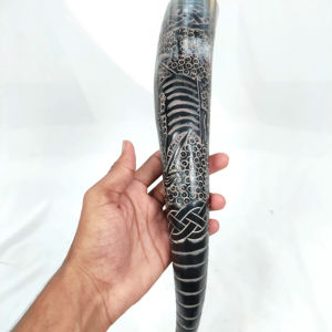 Cuernos Vikingos de Alta Calidad 100% Auténticos, Pulidos, de 16-20 Pulgadas, Hechos a Mano, para Beber o como Decoración Religiosa para el Hogar - Product Image 1
