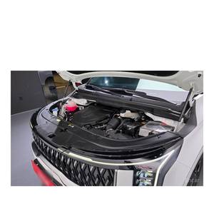 Pour Kia Carnival 9 places Signature Novembre 2023 17 440 km Norme d'émission Euro V Diesel Boîte de vitesses automatique Sièges en cuir Rétroplaces - Product Image 6