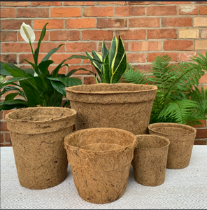 Pot de fleurs biodégradable en fibre de coco EXPAD pour jardin et maison, motif circulaire non enduit, fabriqué à Ben Tre - Product Image 1