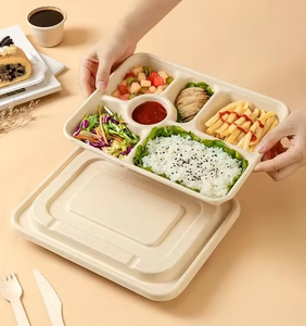 กล่องอาหารแบบฝาพับ ขนาด 13 นิ้ว ย่อยสลายได้ เป็นมิตรกับสิ่งแวดล้อม สำหรับอาหารนำกลับ อาหารกลางวัน งานจัดเลี้ยง ขายส่ง - Product Image 2