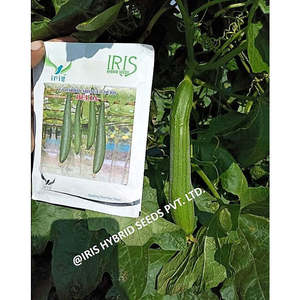 F1 สไตล์สดใส - Product Image 4