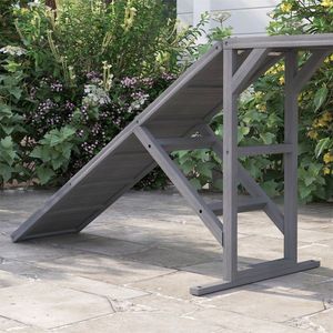 Rampa per Agility Canina per Attrezzature da Addestramento a Ostacoli - Product Image 6