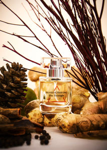 Perfume para Mujer al por Mayor, Aroma Especiado Moderno y Duradero para Uso Diario, NOTAS MEKONG-Triangle (30ml), Spray Eau de Parfum, Vietnam - Product Image 3