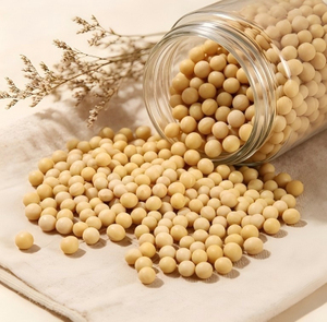 ถั่วเหลือง GMO จำนวนมาก คุณภาพสูง สำหรับผู้ซื้อระหว่างประเทศ - Product Image 1