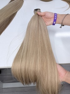 100% Unprocessed Human Vietnam Virgin Hair No <b>Tangle</b> and No Shedding Hair Bundle With Wholesale Price 613 Mix Color - Product Image 1