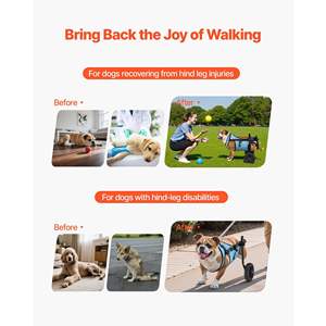 Silla de Ruedas Manual Ajustable de 2 Ruedas para Mascotas, Carrito Ligero para Perros con Ruedas Amortiguadoras, Soporte de Movilidad para Perros Discapacitados o Lesionados - Product Image 2