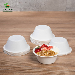 จานและชามกระดาษชานอ้อยขนาด 110 นิ้ว น้ำหนักเบา ทนทาน ผลิตจากเยื่อชานอ้อย เหมาะสำหรับร้านอาหารขนาดใหญ่ บริการอาหารกลับบ้าน และงานเลี้ยง - Product Image 6