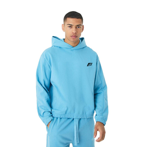 Sweat-shirts surdimensionnés personnalisés pour hommes, en molleton 100 % coton épais, décontractés, avec logo imprimé sur le devant, pour l'automne, OEM, écologiques - Product Image 1
