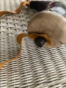 Corneta Vikinga Exclusiva Ecológica de Cuerno Natural de Búfalo, Hecha a Medida, Pulida, Estilo Animal, para Tocar - Product Image 5