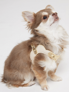 Harnais pour chien en cuir Muhlengia, accessoires de mariage durables, respirant et résistant - Product Image 1