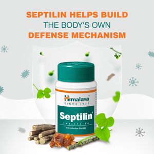 Tabletas de Extracto Herbal Septilin de Himalaya, Suplemento para el Apoyo Inmunológico, Grado Alimenticio, Exportador a Granel de India, 100% Original - Product Image 2