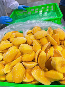 Mejor Precio 2026 Mango Congelado IQF a Granel, Económico con Proceso de Preservación de Agua, Fruta Congelada de Alta Calidad - Product Image 5
