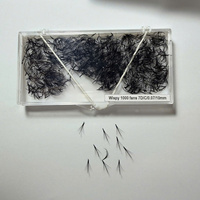 Extensions de cils Promade faites à la main, volume 2D-20D, courbure C CC D, mixtes, longueurs variées, base pointue, 0,07 mm