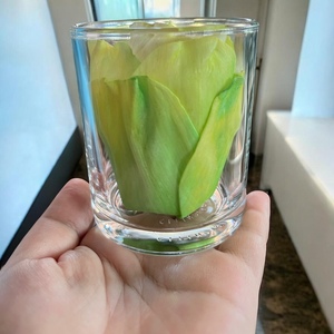 VADEE SOLA WOOD FLOWER SET Diffuseur Fleurs en Bois Sola 6,5 CM Couleur Vert Doux Fibre de Plante Sesbania Bâtonnets d'Aromathérapie Faits à la Main - Product Image 5