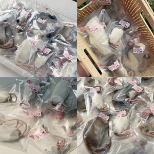 หนูแช่แข็งสำหรับให้อาหาร M2 51-60 กรัม – บรรจุแยกชิ้น |   เสริมด้วยโปรไบโอติก - Product Image 2