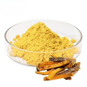 Extracto de Berberina en Polvo 100% Natural Recién Seleccionado, 50% a Base de Plantas, Grado Alimenticio, Favorece una Nutrición Saludable - Product Image 2