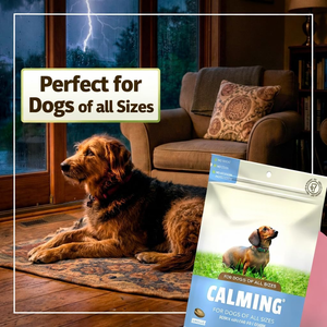 Friandises calmantes pour chiens, chats et chiots - Friandises molles à l'huile de chanvre pour soulager le stress et l'anxiété de séparation - Fournisseur en gros OEM sous marque privée - Product Image 4