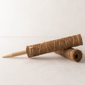 เสาโทเท็มใยมะพร้าวไม้ค้ำยันต้นไม้ผลิตในเวียดนาม - Product Image 3
