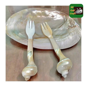 Stylish Seashell Spoon Luxury Seashell Spoon Made from Natural Conch Mother of Pearl for Fine Dining Caviar Serving - Product Image 5