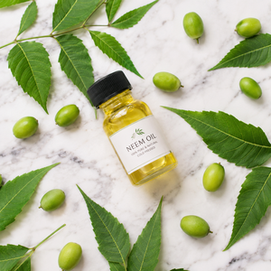 Pure Neem Oil <b>Small</b> <b>Bottle</b> Natural Neem Seed Oil for Agriculture Plant Care Organic Farming and Export Supply - Product Image 1