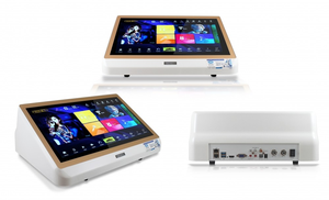 Machine de karaoké à écran tactile de 18,5 pouces, système de karaoké Android avec microphone sans fil, HDMI, RCA, WiFi pour les fêtes à domicile - Product Image 2