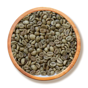 Vietnam Robusta Grade 1 Wet-Polished Green Coffee <b>Beans</b>, Screen 18 - 60kg PP <b>Bag</b> HALAL, HACCP & ISO 22000:2018 Certified - Product Image 1