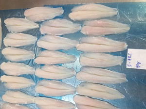 Filet de Pangasius Blanc Congelé, Bien Épluché, 3-5oz 5-7oz, IQF, Filet de Basa du Vietnam, Emballage Sous Vide - Product Image 2