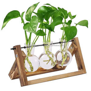 Meilleur 3 pièces hydroponique verre planteur plante Terrarium, Air planteur ampoule verre Vase pour propager l'argent plante fleur et plus - Product Image 1