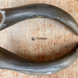 Tradebyd <b>Unique</b> Horn Crafts Handmade Natural Decorative Home Decor Eco Friendly Gift Items - Product Image 3