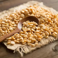 Poudre de protéines de pois à faible teneur en sodium 80% Qualité alimentaire en vrac