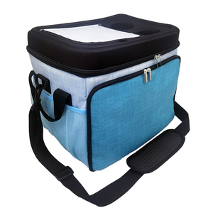 Custom Tarpaulin Insulated <b>Lunch</b> <b>Box</b> Cooler Bag for Camping Picnic and Travel Golden Supplier OEM Beer Cans <b>Pack</b> Food Storage - Product Image 4